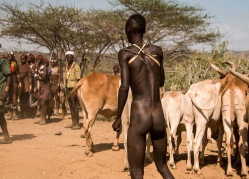 South Omo Valley Tours – 10 Days